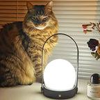 Carrie_Built-inBattery_Table_Lamp-_24 - Oleniva