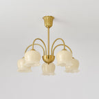 Orchids_Brass_Chandelier__21 - Oleniva