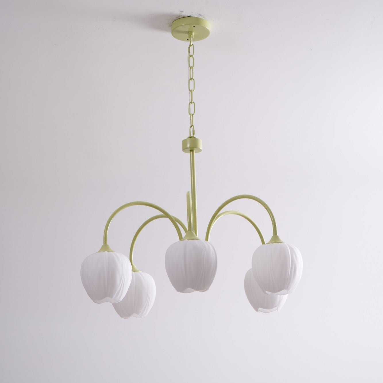 Tulip_Matcha_Chandelier_11_16 - Oleniva